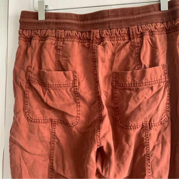 Anthropologie Pilcro Mallory Jogger Pants brick - Picture 7 of 12